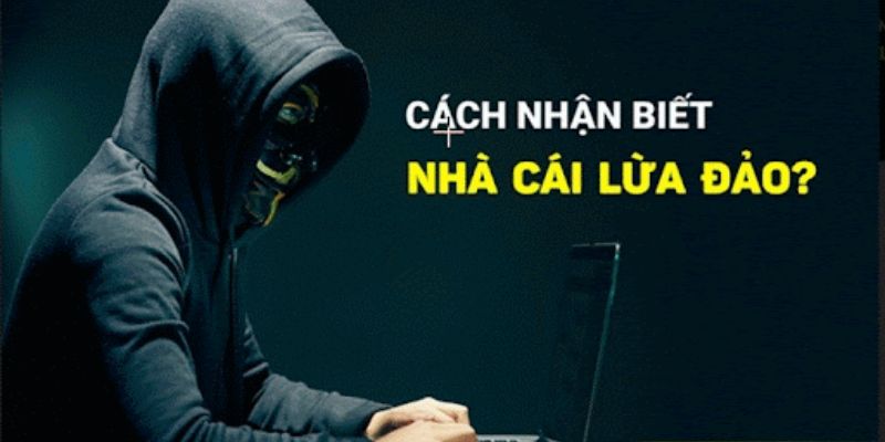 Các nguyên nhân dẫn đến có tin đồn về Net88 lừa đảo