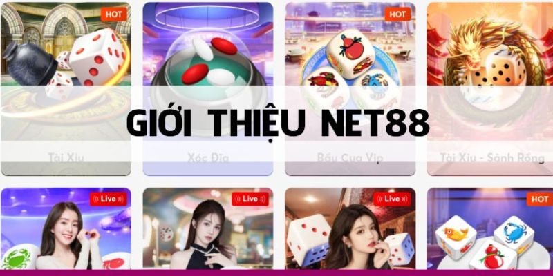 Sơ lược về net88 com địa chỉ cá cược uy tín, chất lượng