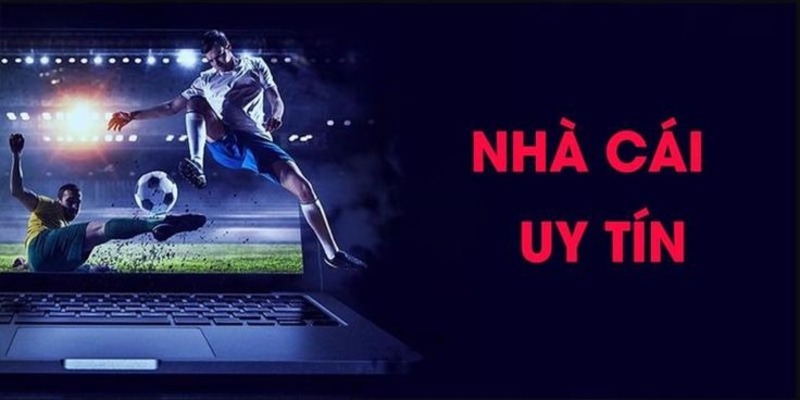 Tìm hiểu vài thông tin cơ bản về nhà cái online Net88