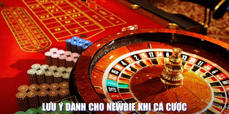 Lưu ý dành cho newbie khi cá cược