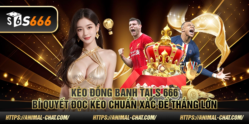 Kèo đồng banh tại S 666: Bí quyết đọc kèo chuẩn xác để thắng lớn