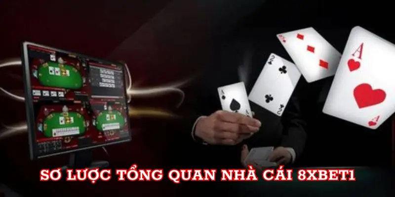 Sơ lược tổng quan nhà cái 8xbet1